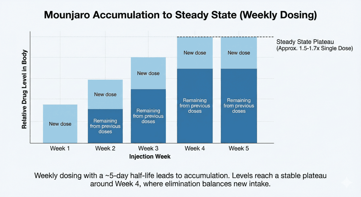 Bar chart showing Mounjaro levels building over the first few weeks of treatment then reaching a plateau.