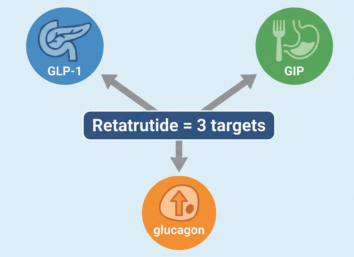 Retatrutide targets the GLP-1, GIP, and glucagon receptors.